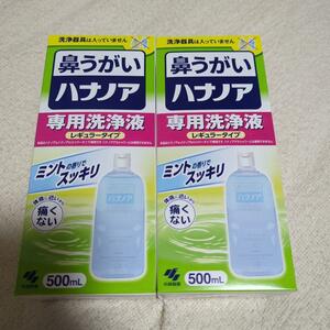 【2個セット】小林製薬　ハナノア専用洗浄液レギュラータイプ500ml 洗浄器具無
