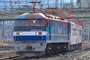 EF210-311+南阿蘇鉄道MT4000 _DSC3529.jpg