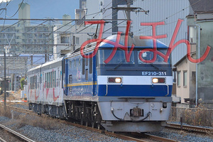 EF210-311+南阿蘇鉄道MT4000_DSC3497.jpg