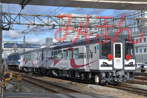 EF210-311+南阿蘇鉄道MT4000_DSC3542.jpg