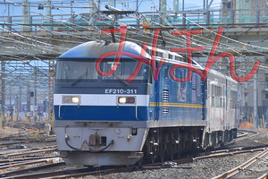 EF210-311+南阿蘇鉄道MT4000_DSC3528.jpg