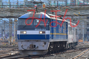 EF210-311+南阿蘇鉄道MT4000_DSC3527.jpg
