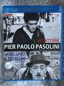 廃盤Blu-ray『アッカトーネ/大きな鳥と小さな鳥』ピエル・パオロ・パゾリーニ