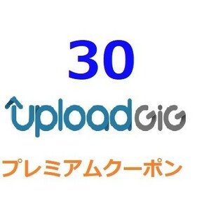 Uploadgig公式プレミアムクーポン 30日間　入金確認後1分～24時間以内発送