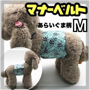  manner band manner belt manner wear cat clothes dog. clothes male manner pants oh ...M