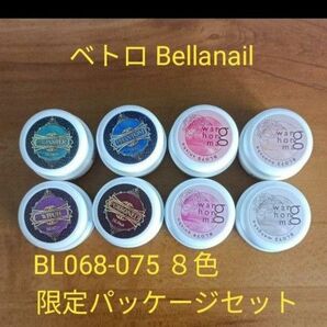 ☆BL068-075新品★限定パッケージベトロBellanailマグネットカラー８色セット☆