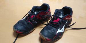  Mizuno, volleyball shoes 23.5cm. secondhand goods..