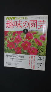 趣味の園芸 NHK テレビテキスト 2008年4月号 ペチュニア ツツジ ゼラニウム MS240118-003