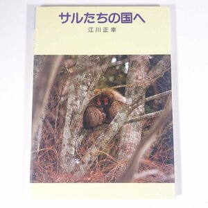 サルたちの国へ 江川正幸 新日本出版社 1990 大型本 写真集 猿 さる サル