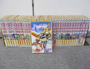 む451　棚み　現状品　漫画　ハーメルンのバイオリン弾き　渡辺道明　全37巻　漫画全巻セット　月刊少年ガンガン　ファンタジー漫画