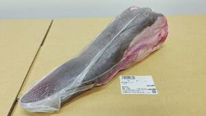 【現物販売】　国産　黒タン1517g　新鮮　特選　希少な黒毛牛タン1本売り 　おうちBBQ　肉のお取り寄せ　通販 