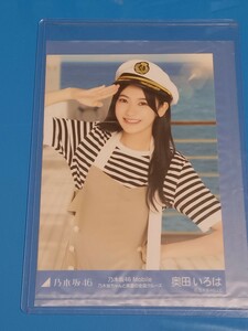  Nogizaka 46 genuine summer. all country Tour 2023 god .mobile elected goods Nogizaka diligently genuine summer. all country cruise life photograph inside rice field .. is 