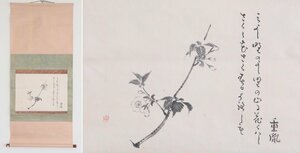 【模写】　鈴木重胤　皇学者　水墨桜　紙本軸装　掛軸　書画　日本画　俳画