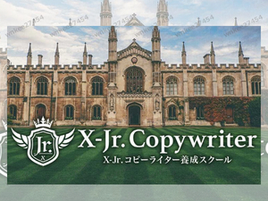 【仙人さん】Jr.コピーライターC級レベル｜本編授業＋宿題サポート＆補講ビデオ＋資料PDF 特典セールスプロモーション＆レター付き Mr.X