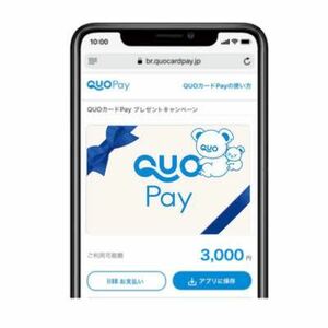 匿名配送　有効期限：2027年01月30日まで QUOカードPay クオカードペイ　3000円