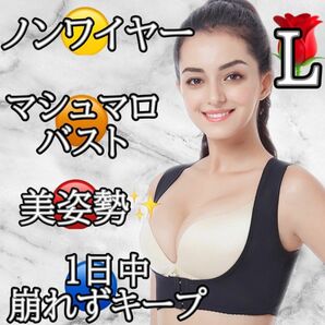 Lサイズ 補正下着 マシュマロバスト 谷間 美姿勢 プリンセスアーチ ナイトブラ