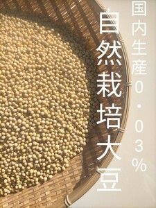 無農薬、無肥料、希少な自然栽培国産大豆「フクユタカ」令和5年収穫500ｇ送料無料