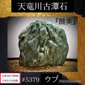 【信濃美術石博物館】 水石 盆栽 天竜川古潭石 『醜美』ウブ 横21.5×高21×奥行8.5(cm) 5.66kg骨董盆石古美術鑑賞石観賞石太湖石 5379