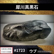 【信濃美術石博物館】 水石盆栽 犀川真黒石 ウブ 横22×高6×奥行12(cm) 重量:2.76kg 骨董盆石鑑賞石観賞石太湖石 1723_画像1