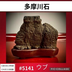 【信濃美術石博物館】 水石盆栽 多摩川石 ウブ 横6×高5×奥行2(cm) 重量:40g 骨董盆石鑑賞石観賞石太湖石 5141