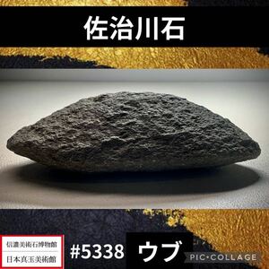 【水石復興イベント】 水石 盆栽 佐治川石 ウブ 横18×高7×奥行10(cm) 1.32g 骨董盆石古美術鑑賞石観賞石太湖石中国古玩 5338