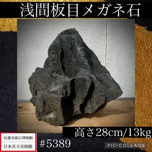 【信濃美術石博物館】 水石 盆栽 浅間板目メガネ石 横26×高28×奥行27(cm) 13kg骨董盆石古美術鑑賞石観賞石太湖石中国古玩 5389