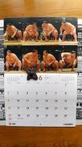 2019年の大相撲カレンダーと番付表6枚_画像7