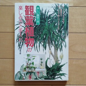 楽しい園芸入門　観葉植物の楽しみ方と手入れ　1996年　池田書店