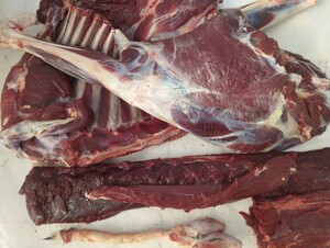 鹿肉、雄鹿半頭分10kg