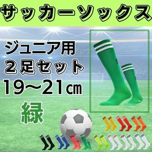 サッカーソックス【2足セット】ジュニア　緑×白　19～21　ストッキング