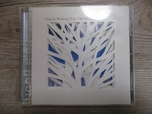 BT　A4　送料無料♪【　Behind the Forest vol.1　WONG WING TSAN　】中古CD　