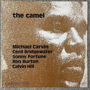 Michael Carvin - The Camel - SteepleChase ■ wlp