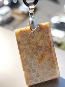 【セール品4】石珊瑚　天然石　菊紋石　ネックレス　方札　ペンダントトップ