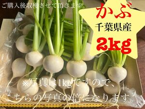 千葉県産　かぶ　2kg 新鮮野菜　野菜