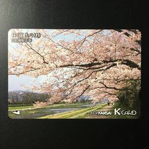 京阪/券売機カードー「桜(加茂川堤)」ー2005年度発売開始柄ー京阪スルッとKANSAI Kカード(使用済)