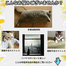 キャットホイール 猫用 ルームランナー 室内運動用 猫 キャット ホイール ローラー 小型犬 ペット用品 日本語説明書 工具 軍手付き 組立_画像2