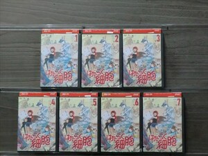 はたらく細胞 全7巻セット DVD※同梱12枚迄OK！4a-3027