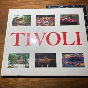 【破れあり】TIVOLI