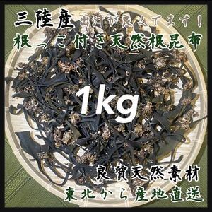 【送料込み】　濃厚出汁　天然根昆布　根っこ付き　大容量1kg 岩手県産　東北　秋の限られた時期に収穫した天然根昆布　最高級出汁　素材