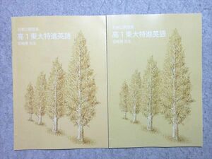 VS55-015 東進 高1東大特進英語 冬期/秋期公開授業 計2冊 宮崎尊 04 s0B