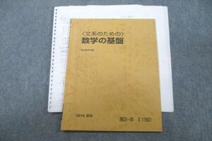 VT25-075 駿台 〈文系のための〉数学の基盤 テキスト 2016 夏期 鹿野俊之 05s0C