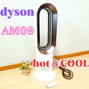 【2020年製】 Dyson ダイソン Hot+Cool AM09 リモコン付き