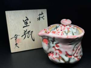 萩焼【 二葉幸久作 宝瓶 】未使用新品 煎茶道具 急須 泡瓶 茶器 骨董 時代物 置物 飾物 日本工芸品 茶道具 美術 芸術 デザイン 桐箱 共箱 