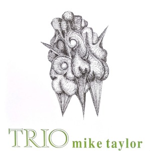 Mike Taylor マイク・テイラー - Trio 限定再発アナログ・レコード