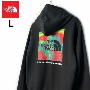 1円～!売切!【正規新品】THE NORTH FACE PRINTED BOX NSE HOODIE パーカー US限定 登山 裏起毛 レインボー ボックスロゴ(L)黒 181130-30