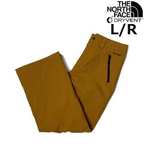 1円～!売切!【正規新品】THE NORTH FACE SEYMORE PANTS スノーパンツ セイモア US限定 DRYVENT ロゴ刺繍 スノボ スキー(L/R)茶 190110-50