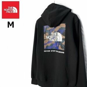 1円～!売切!【正規新品】THE NORTH FACE PRINTED BOX NSE HOODIE パーカー US限定 グラフィック ボックスロゴ(M)黒 迷彩柄 181130-30