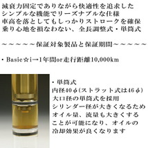 RSR Basic-i ソフトレート 車高調 AZR65GヴォクシーX 2001/11～2007/6_画像2