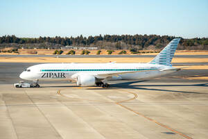  самолет цифровой изображение bo- крыло 787 ZIPAIR 4