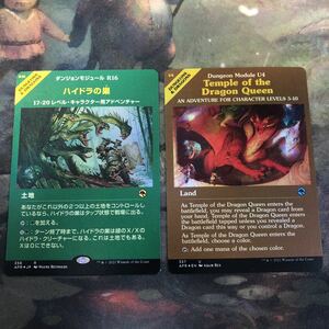 nv1 9 Foil ショーケース ハイドラの巣 Lair of the Hydra MTG ドラゴンの女王の寺院 Temple of the Dragon Queen 日本語 JP 英語版 EN